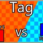 2 Player Tag img