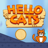 Hello-Cats img