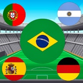 World-Cup-Flag-Match img